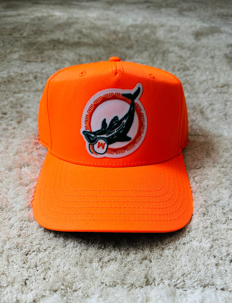 Miami Dolphins Upsidedown cap